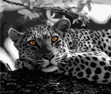 Набір для розпису по номерах Чорно-білий леопард Strateg розміром 40х50 см (GS051)
