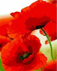 Набір для розпису по номерах Маки Strateg розміром 40х50 см (GS705)