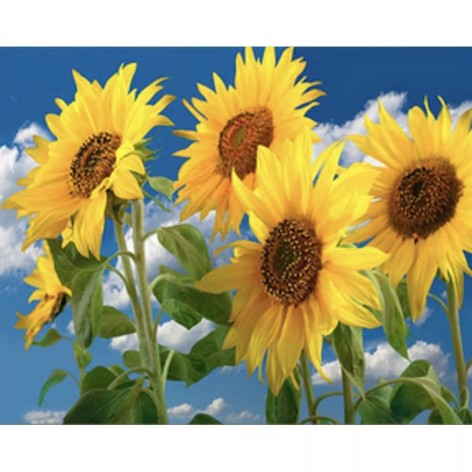 Набор для творчества алмазная картина Спелые подсолнухи Strateg размером 40х50 см (SK86000)