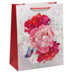 Пакет паперовий Asters ВИД 1