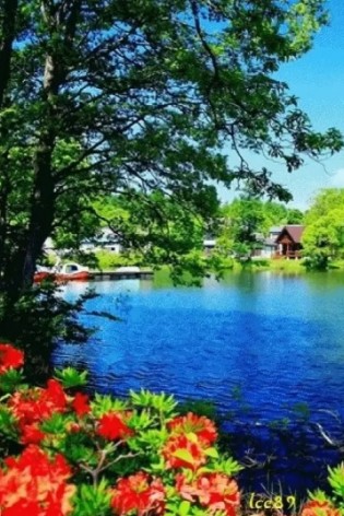 Алмазна мозаїка за номерами 40*50 