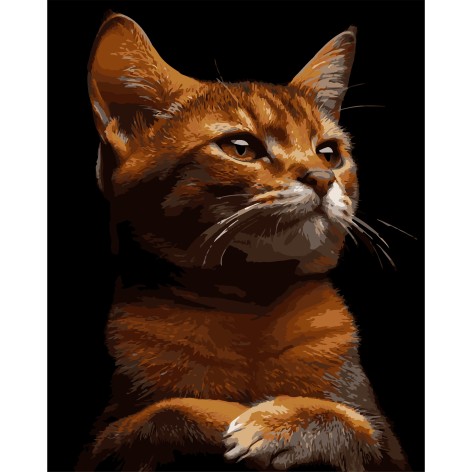 Картина за номерами Strateg 