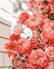 Набор для росписи по номерам Великолепные розы Strateg размером 30х40 см (SS-6596)