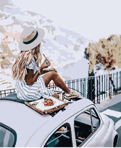 Набір для розпису по номерах Перекус на даху машини Strateg розміром 40х50 см (HH063)