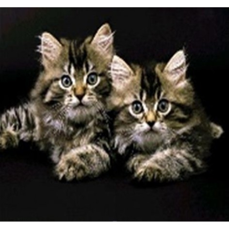 Алмазна мозаїка за номерами 40*50 