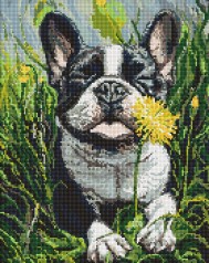 Алмазна мозаїка на підрамнику Ideyka 