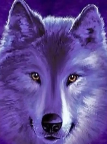 Алмазна мозаїка за номерами 40*50 