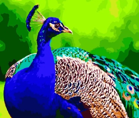 Набор для росписи по номерам Яркий павлин Strateg размером 40х50 см (GS183)