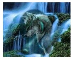 Картина по номерам "Волк и водопад" 40*50см, краски акрилловые, кисть-3шт.(1*30)