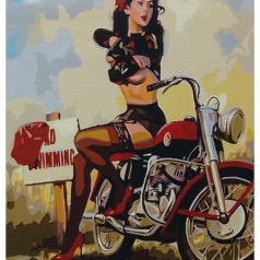 Картина по номерам 0629 ОРТ цв. Девушка без табу 40*50