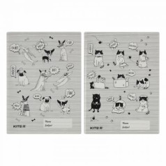 Обкладинка-розмальовка, А4+, PVC