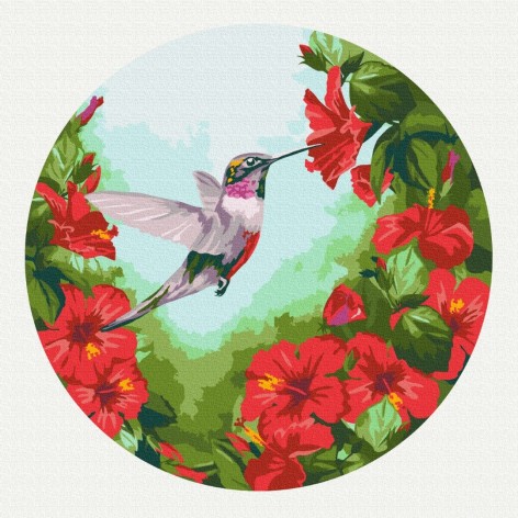 Картина за номерами: Колібрі (Розмір M)