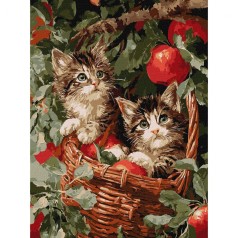 Картина по номерах "Коти у кошику" 30х40см