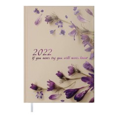 Дневник датированный 2022 SPOLETO, A5, персиковый