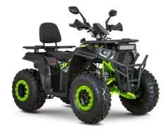 Квадроцикл AFB200L-2-5 (1шт) бензиновий 180 см?, 2-місний, авт. F/N/R, 10? литі колеса, пер. та задні гідр.диск.гальма,спинка,до 100 кг, чор-зел