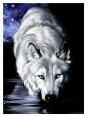 Картина по номерам "Волк" 40*50см, краски акрилловые, кисть-3шт.(1*30)