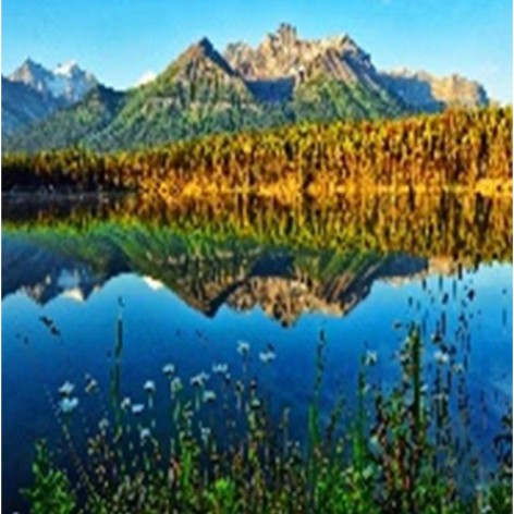 Алмазна мозаїка за номерами 40*50 