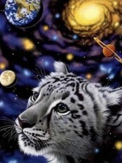 Алмазна мозаїка за номерами 40*50 