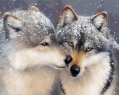 Картина за номерами: Ніжне почуття 40*50 BS27710