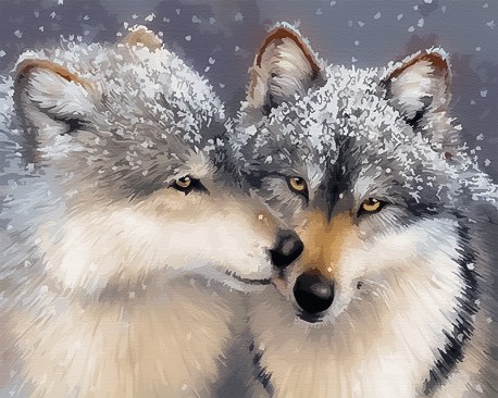 Картина за номерами: Ніжне почуття 40*50 BS27710