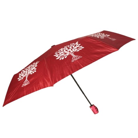 Парасолька MIC "C54300" автоматична змінює колір (C54300)