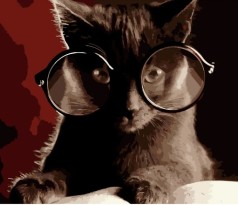 Набор для росписи по номерам Кот-ученый Strateg размером 40х50 см (DY178)