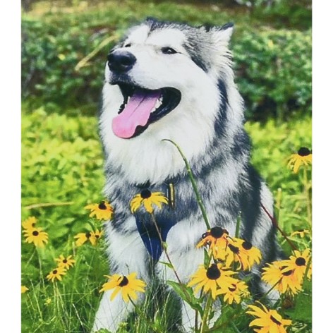 Алмазна картина Мить щастя Strateg 30х40 см (HEG88137)