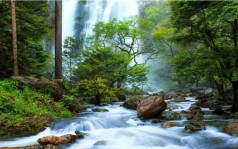 Алмазна мозаїка за номерами 40*50 