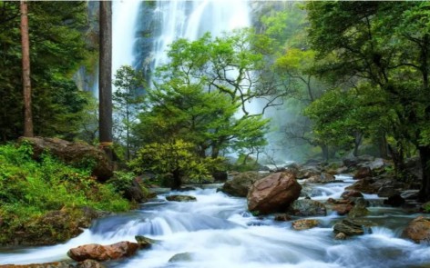 Алмазна мозаїка за номерами 40*50 