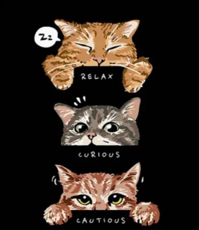 Набор для раскраски по номерам Тройка котов Strateg на черном фоне размером 30х40 см (FH-16)