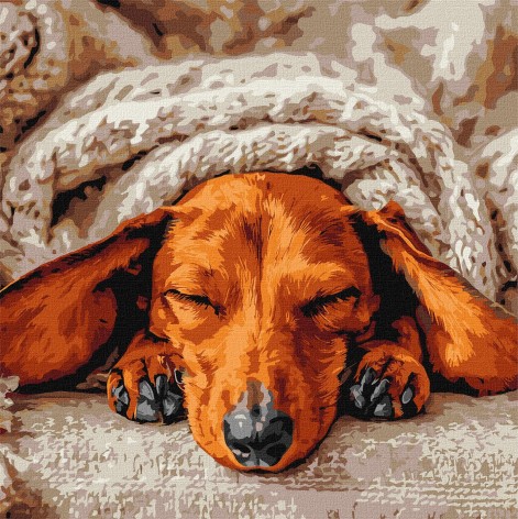 Набір для розпису по номерах 