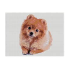 Алмазна картина HX414 