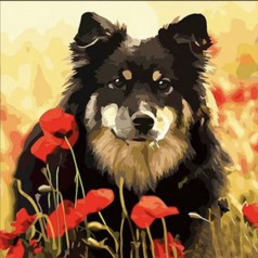 Набор для творчества алмазная картина Песик в маковом поле Strateg размером 30х30 см (ME13812)