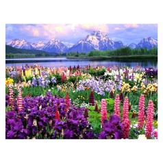 Алмазна мозаїка “Пейзаж. Квіткове поле”, 20х30 см, в коробці