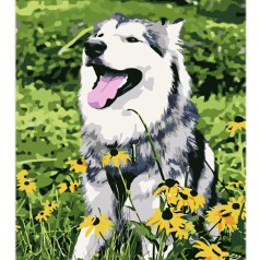 Набір для розпису по номерах Стратег 