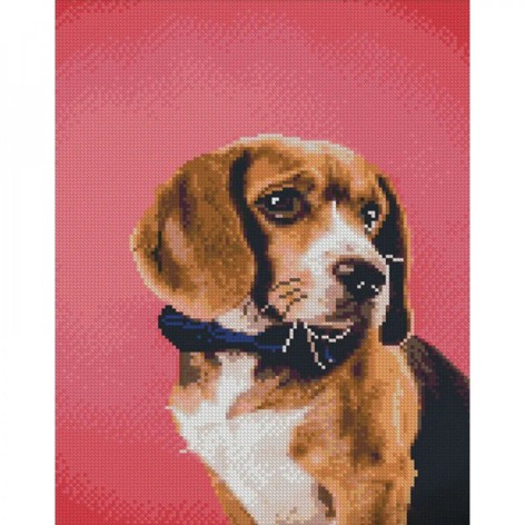 Алмазная мозаика 