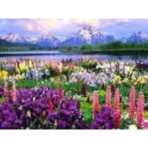 Алмазная мозаика по номерам 30*40см 