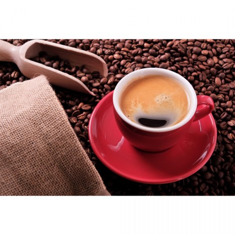 Алмазна мозаїка Strateg "Кавове натхнення" 30x40 см (HEG87055)