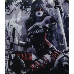 Картина по номерам 0645 ОРТ цв. Девушка ниндзя 40*50