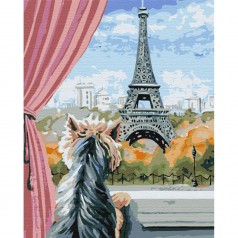Картина за номерами: Париж із вікна
