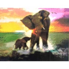 Алмазная мозаика 