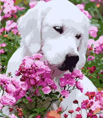 Набір для розпису за номерами Ошатник на кольоровому фоні розміром 40х50 см (MZ076)