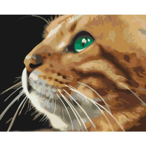 Картина по номерам Brushme Взгляд рыжули 40х50 см (BS52377)