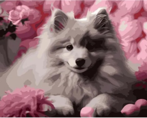 Набір для розпису за номерами Шпіц на тлі рожевих відтінків Strateg на кольоровому фоні розм 40х50