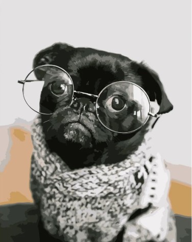 Набор для росписи по номерам Мопсик в очках Strateg размером 40х50 см (DY107)