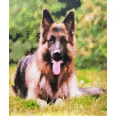 Алмазная мозаика 