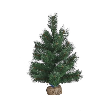 Сосна h - 0,60 м 