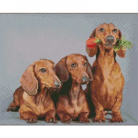 Алмазная картина 