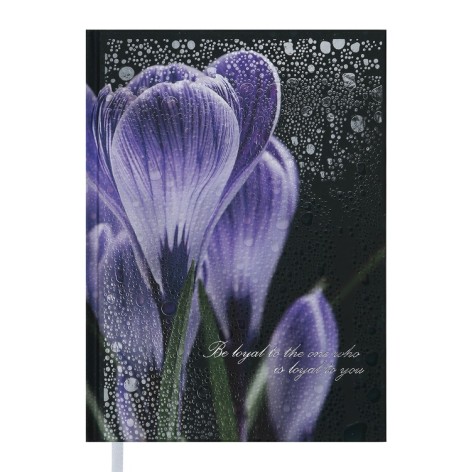 Щоденник недатований POSH, A5, фіолетовий