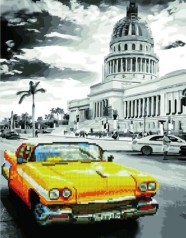 Картина по номерам + Алмазная мозаика 